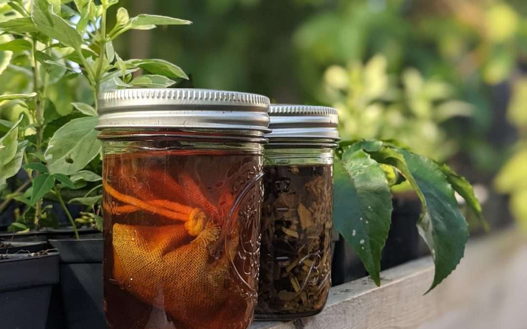 From Farm to Glass: Using botanicals to make cocktails