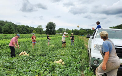 Crop Planning and Variety Selection