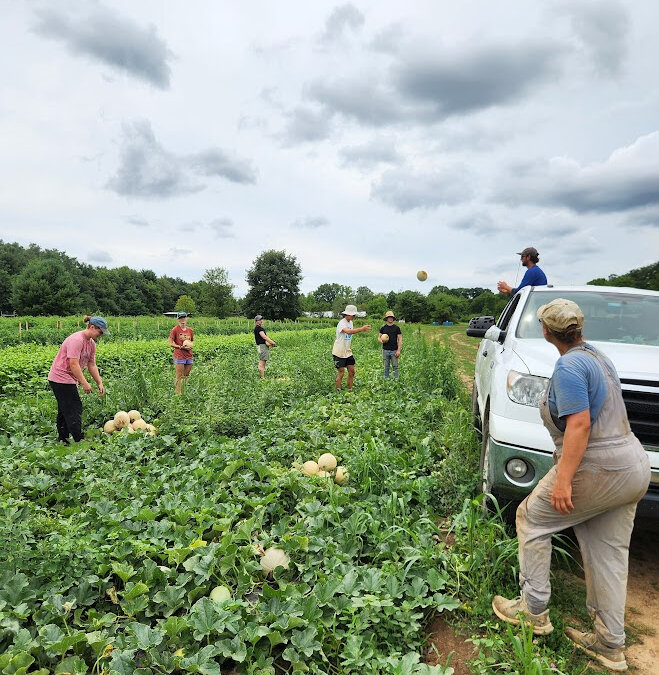 Crop Planning and Variety Selection