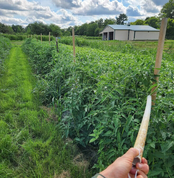 Seed Inventory, Putting Together the Seed Order, and Checking Seeds In