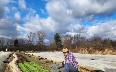 Winter Farming Essentials: Warm Clothes!