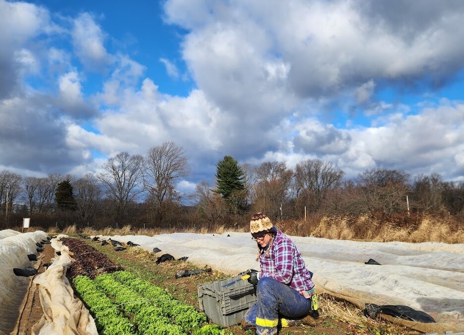 Winter Farming Essentials: Warm Clothes!