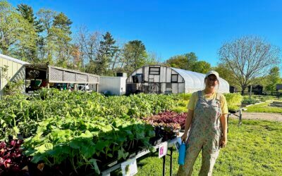Spring Plant Sale 2026