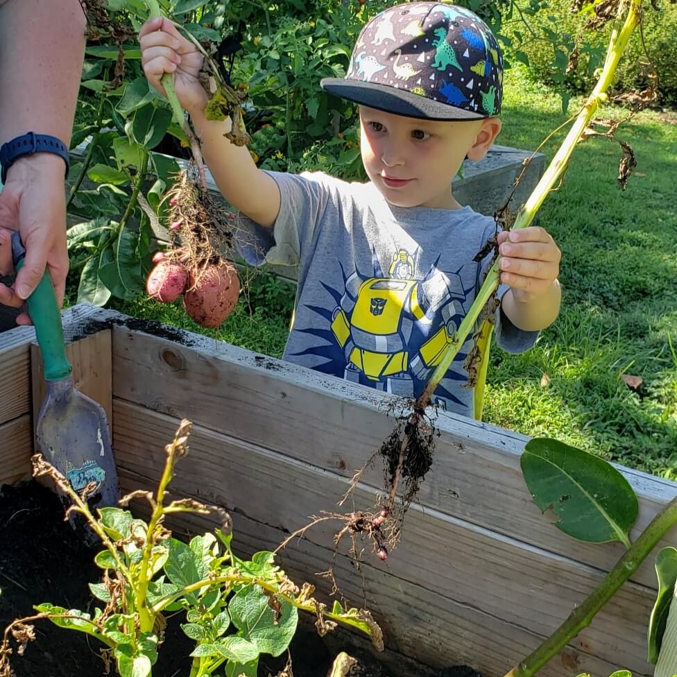 kid-holding-sprout-plant