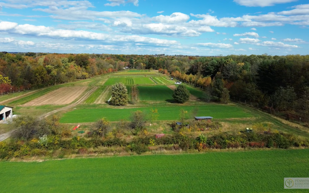 Regenerative Agriculture in Action: Pennypack Farm Video Screening & Conversation